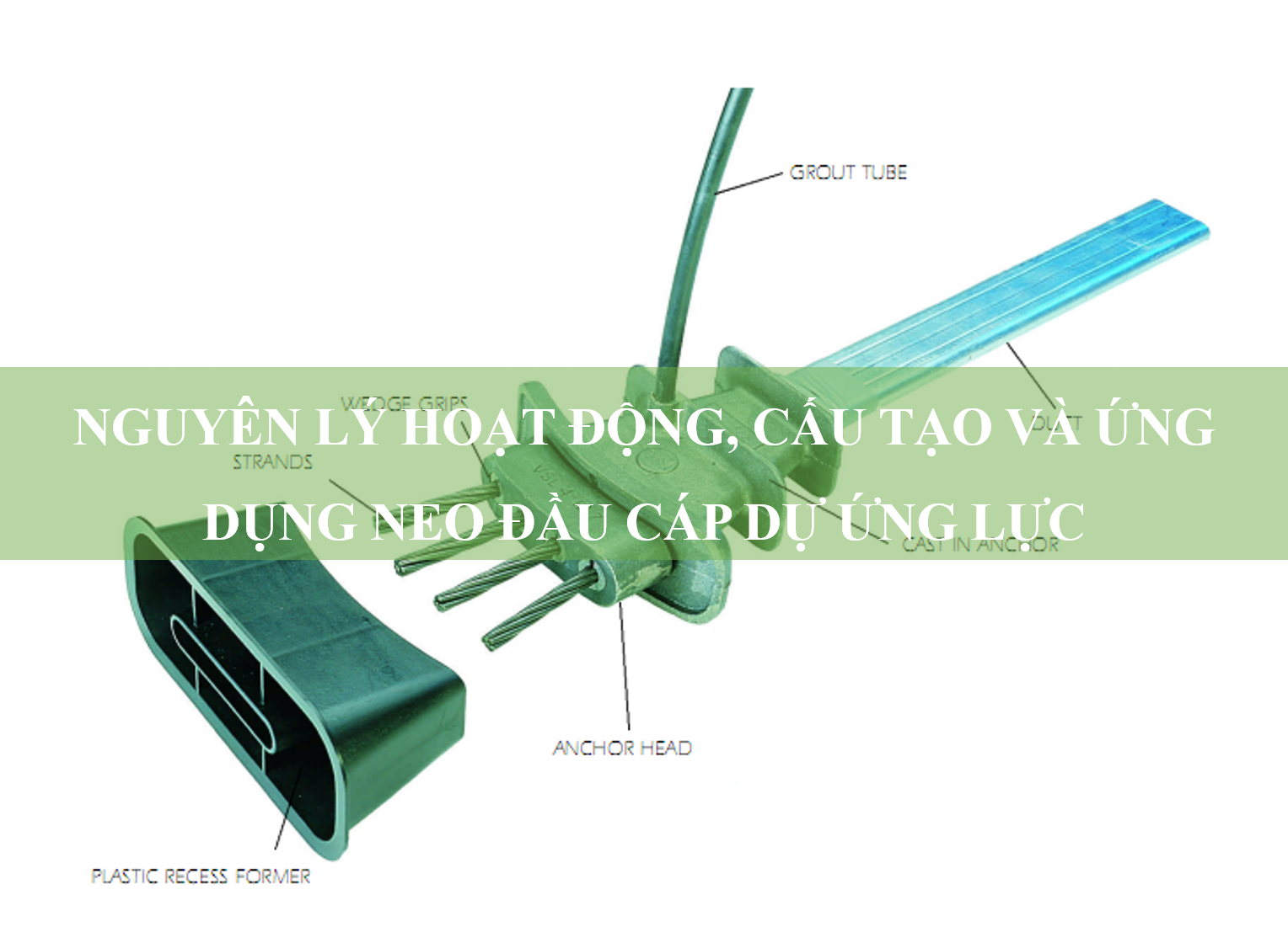 Neo đầu cáp dự ứng lực: Nguyên lý hoạt động, cấu tạo và ứng dụng hiện nay